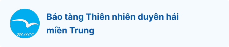 Bảo tàng Thiên nhiên duyên hải miền Trung